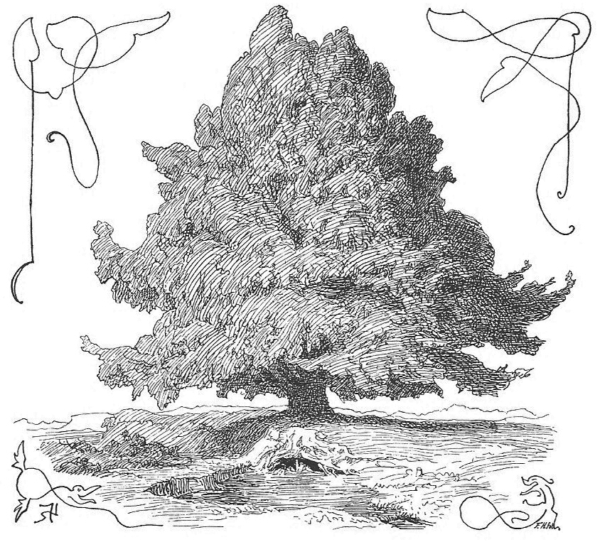 L'Arbre Monde