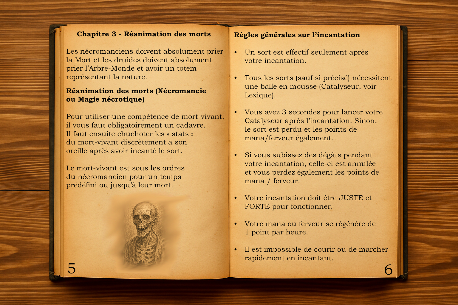 Codex Magie pages 5–6